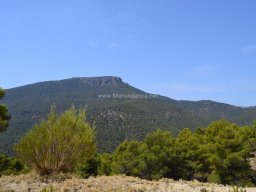 Valle de Leiva-Perdiz 2010